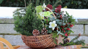 balcon chaleureux en hiver LEs compagnons des saisons