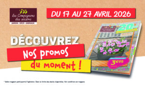 Promos plantes printemps : fleurs et potager Promos plantes printemps : fleurs et potager